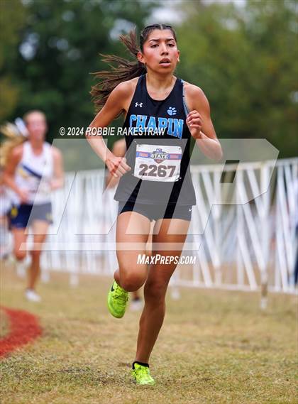 Thumbnail 3 in UIL Cross Country 5A Finals (5K) photogallery.