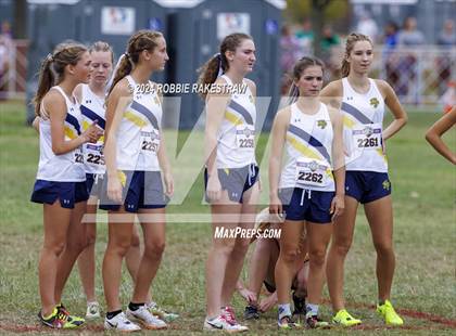 Thumbnail 1 in UIL Cross Country 5A Finals (5K) photogallery.
