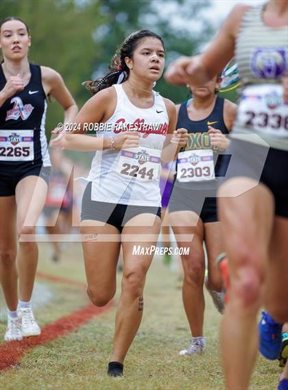 Thumbnail 1 in UIL Cross Country 5A Finals (5K) photogallery.