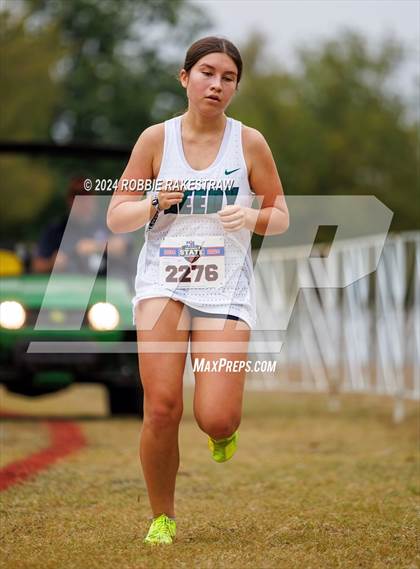 Thumbnail 2 in UIL Cross Country 5A Finals (5K) photogallery.