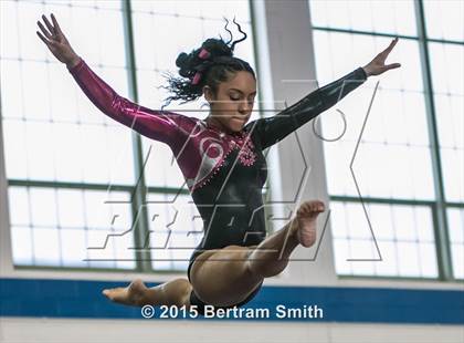 Thumbnail 2 in NYSPHSAA Gymnastics Championships (Balance Beam) photogallery.