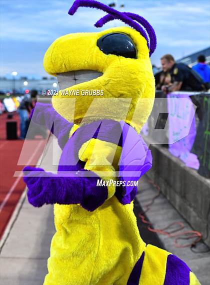 Thumbnail 1 in Captain Shreve @ Byrd photogallery.