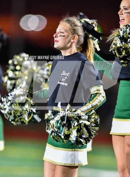 Thumbnail 2 in Captain Shreve @ Byrd photogallery.