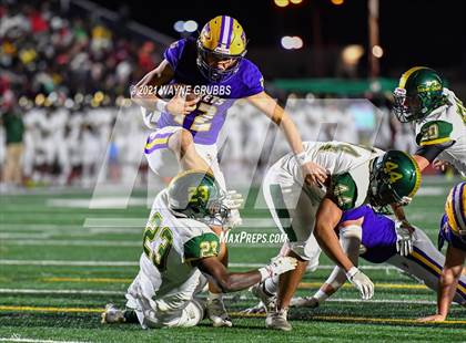 Thumbnail 1 in Captain Shreve @ Byrd photogallery.