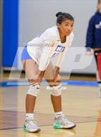 Photo from the gallery "Pine Lake Prep @ Community School of Davidson"