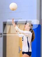 Photo from the gallery "Pine Lake Prep @ Community School of Davidson"