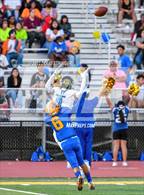 Photo from the gallery "Tennyson @ Mt. Eden"