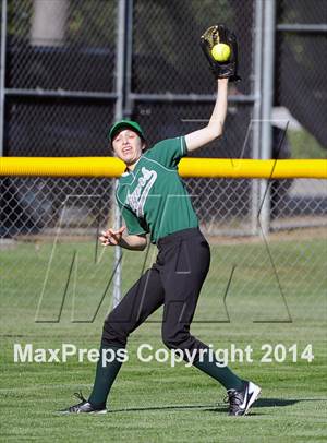 Tuesday, Mar 11, 2014