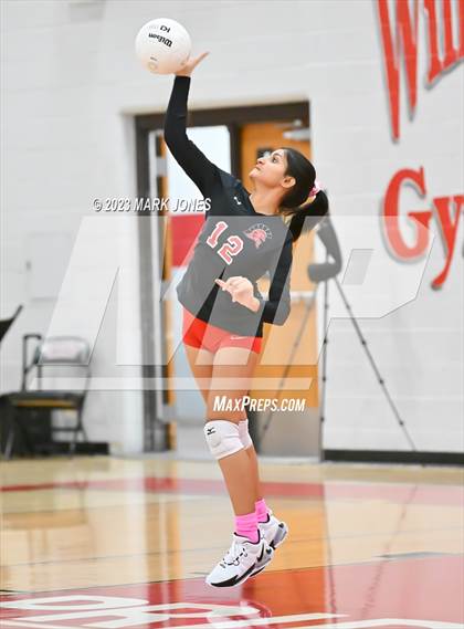 Thumbnail 3 in Willow Canyon vs. Paradise Valley photogallery.
