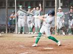 Photo from the gallery "St. Mary's @ Elk Grove"