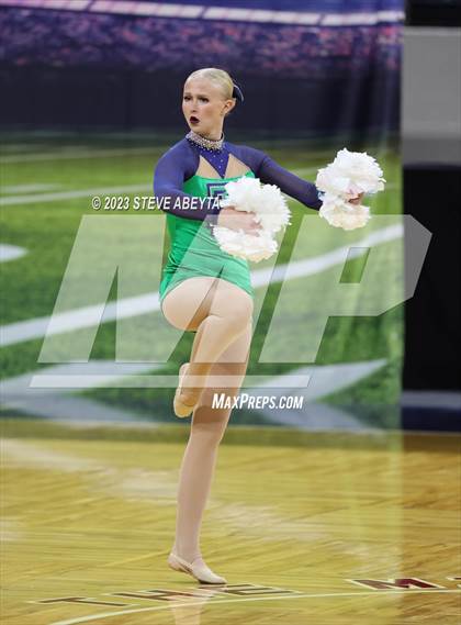 Thumbnail 1 in ThunderRidge CHSAA Spirit Poms photogallery.