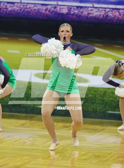 Thumbnail 2 in ThunderRidge CHSAA Spirit Poms photogallery.