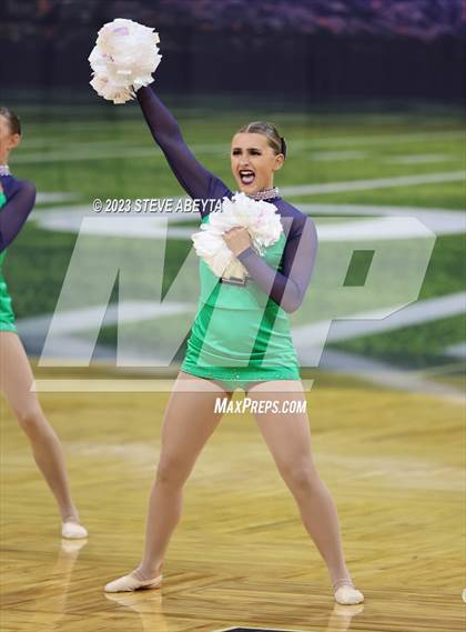 Thumbnail 1 in ThunderRidge CHSAA Spirit Poms photogallery.