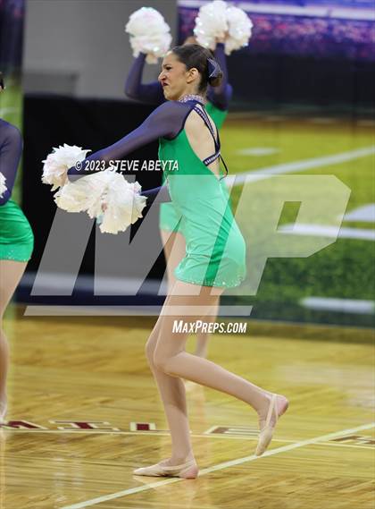 Thumbnail 2 in ThunderRidge CHSAA Spirit Poms photogallery.