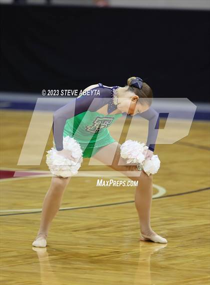 Thumbnail 2 in ThunderRidge CHSAA Spirit Poms photogallery.
