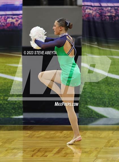 Thumbnail 2 in ThunderRidge CHSAA Spirit Poms photogallery.