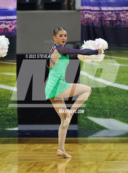 Thumbnail 1 in ThunderRidge CHSAA Spirit Poms photogallery.