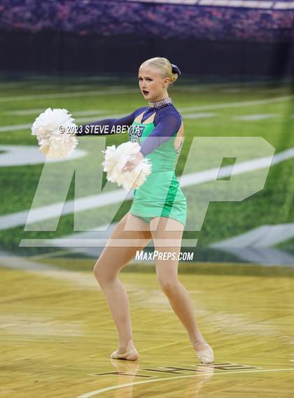 Thumbnail 2 in ThunderRidge CHSAA Spirit Poms photogallery.