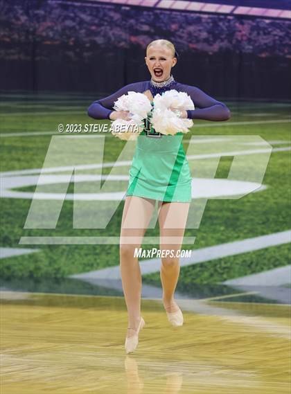 Thumbnail 2 in ThunderRidge CHSAA Spirit Poms photogallery.