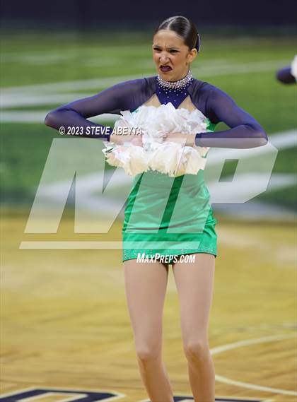 Thumbnail 3 in ThunderRidge CHSAA Spirit Poms photogallery.