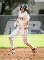 Photo from the gallery "Muir @ Arcadia"