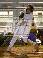 Photo from the gallery "Muir @ Arcadia"