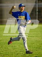 Photo from the gallery "Muir @ Arcadia"