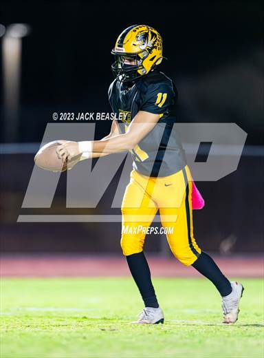 null - Photo 61