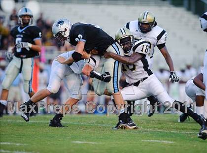 Thumbnail 3 in Alcovy @ Starr's Mill photogallery.