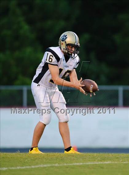 Thumbnail 3 in Alcovy @ Starr's Mill photogallery.