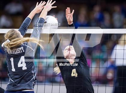 Thumbnail 3 in University vs. Pagosa Springs (CHSAA 3A Playoff) photogallery.