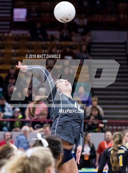 Thumbnail 1 in University vs. Pagosa Springs (CHSAA 3A Playoff) photogallery.