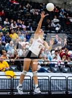 Photo from the gallery "Mountain View vs. Springville (UHSAA 5A Quarterfinals)"