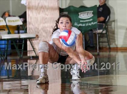 Thumbnail 1 in Hamilton vs. Portola (CIF NS D5 Final) photogallery.