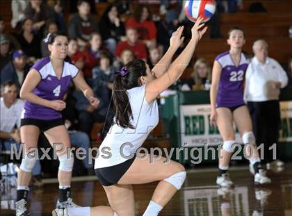 Thumbnail 3 in Hamilton vs. Portola (CIF NS D5 Final) photogallery.