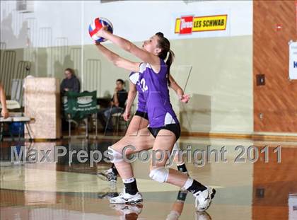 Thumbnail 1 in Hamilton vs. Portola (CIF NS D5 Final) photogallery.