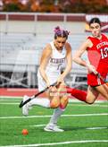 Photo from the gallery "Ketcham @ Kingston"