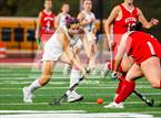 Photo from the gallery "Ketcham @ Kingston"