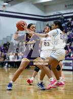Photo from the gallery "Loyalsock Township vs. Lancaster Catholic (PIAA 3A Semifinal)"