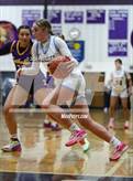 Photo from the gallery "Loyalsock Township vs. Lancaster Catholic (PIAA 3A Semifinal)"
