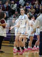 Photo from the gallery "Loyalsock Township vs. Lancaster Catholic (PIAA 3A Semifinal)"