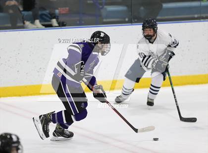 Thumbnail 3 in Buffalo @ Bemidji photogallery.