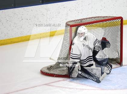 Thumbnail 1 in Buffalo @ Bemidji photogallery.