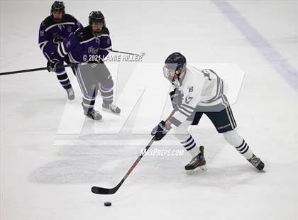 Thumbnail 1 in Buffalo @ Bemidji photogallery.