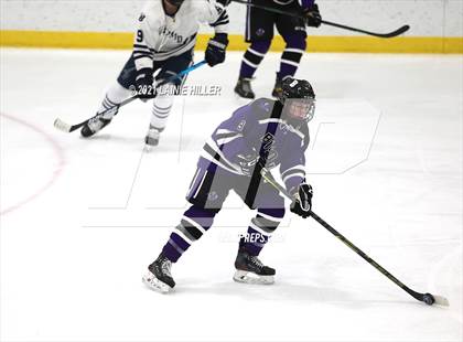 Thumbnail 1 in Buffalo @ Bemidji photogallery.
