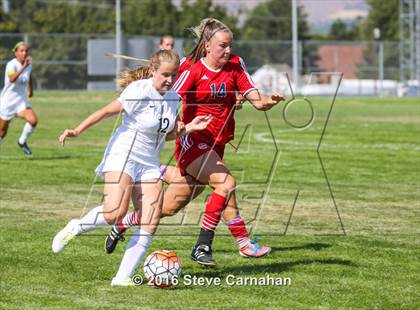 Thumbnail 1 in Springville @ Hillcrest photogallery.