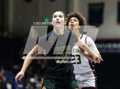 Thumbnail 2 in San Ramon Valley vs. Salesian College Preparatory (CIF NCS Open Division Final) photogallery.