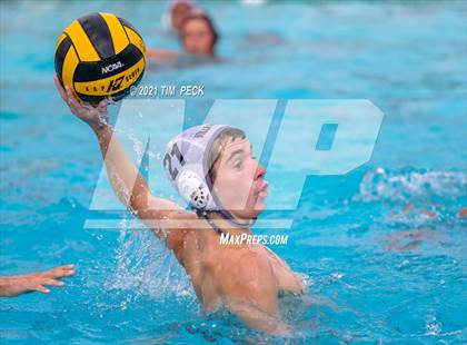 Thumbnail 1 in El Modena @ Villa Park photogallery.