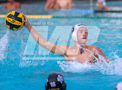 Thumbnail 2 in El Modena @ Villa Park photogallery.