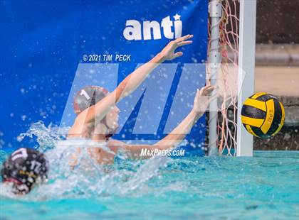 Thumbnail 1 in El Modena @ Villa Park photogallery.